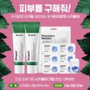 네버랜드솔루션