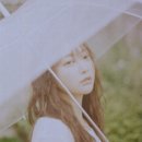 펀치(punch)