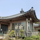 대룡마을회관 이미지