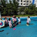 경희대 인성 태권도장 이미지