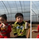 시영농장 이미지