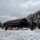 제주 애견 아가야 | 제주 스프레무따 반려견 동반 예스키즈존 카페 내돈내산 방문 후기