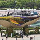 물뿜는 고래 이미지