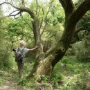 담양오방길2코스(산성길) 이미지