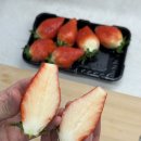 헬시팜