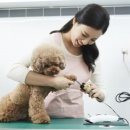 스타동물의료센터 이미지
