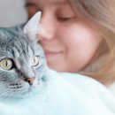 2013-주036 이미지