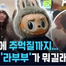 라푸푸