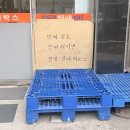 피티위즈 | 아슬히 높게 떠있는 여름을 시원하게