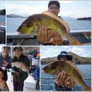 유학농장 이미지