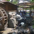 유성온천 투어코리아