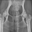 용인서현 동물병원 이미지