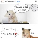 밤톨월드 네이버블로그