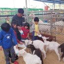 새소리농장 이미지