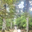 팔만대장경 | 해인사 팔만대장경 직접 보고 온 후기, 교과서랑 완전 다르네요
