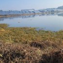 늘푸른2 태양광발전소 이미지