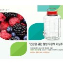 과일단지