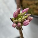 용앙주유소 이미지