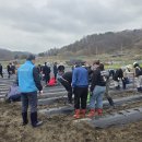 해든학교 이미지