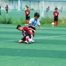 석남초등학교 이미지