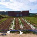 동리보건진료소 이미지