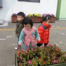 단남초등학교 이미지