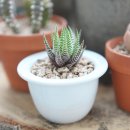 동미농장 이미지