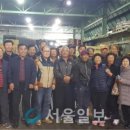 일로야채 이미지