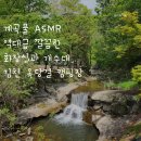 [경북캠핑] 계곡 물소리 들으며 잠들 수 있는 깨끗한 경북 김천 옥당걸 숲속관광농원 계곡캠핑장
