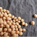 편백 힐링 안마원 이미지