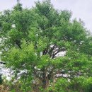 향토문화로 이미지