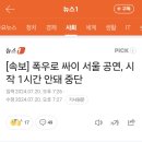 싸이 &#39;흠뻑쇼&#39; 폭우로 중단.gisa 이미지