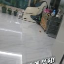 하동이네야채과일