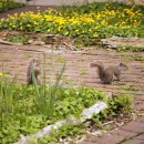 비그로브 그로브 이미지