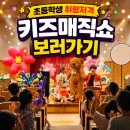 청양초등학교 | 전국출장 마술공연 예산 청양 초등학교 유치원 에듀매직쇼 후기사진