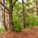 아라메길 (삼길나루길-벚꽃길) 이미지