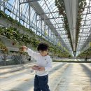 드림농원 이미지