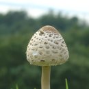 추억속의 이야기 이미지