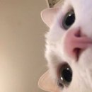 사담:)안녕 이미지