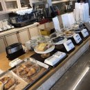 슈앤트리 | 슈앤트리 비숑 귀툭튀 미용 후기 :-)