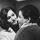 명동이태리안경 이미지