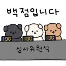 가평애견동반카페아웃팅