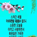 경상도 시골할머니가 키우는 손자 이미지