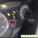 진오토밋숀 이미지