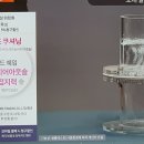 르까프영도