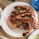 뉴본의원 이미지