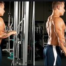 피렉스헬스 이미지