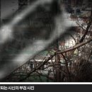 진아사 네이버블로그