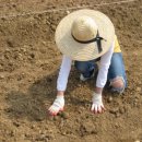 미현농장 이미지