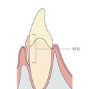 이75덴탈 이미지